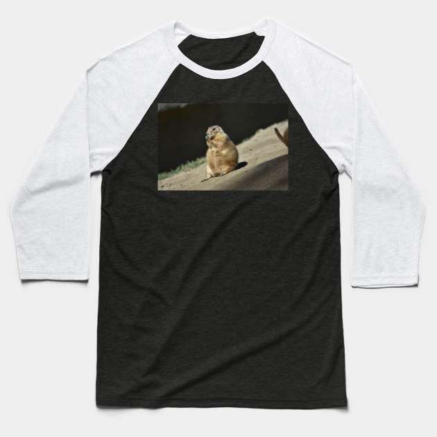 Prairie Dog Baseball T-Shirt by MarieDarcy